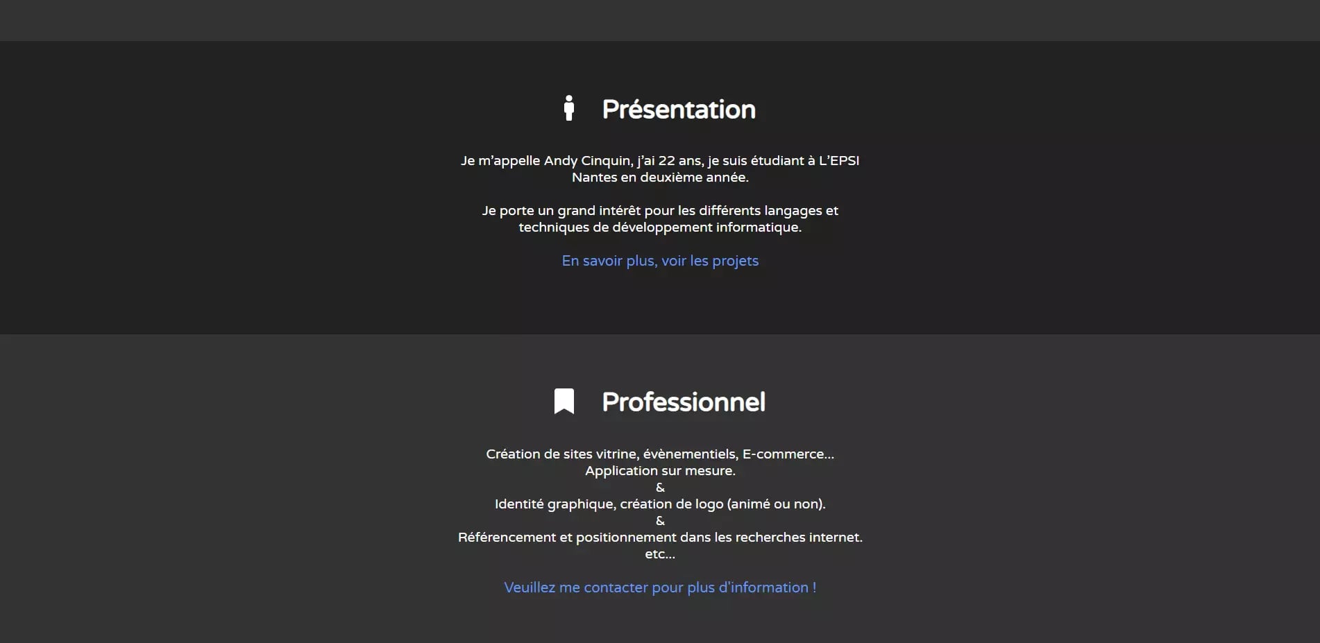 Screenshot of a webpage displaying sections titled 'Présentation' and 'Professionnel,' with personal introduction and list of services offered by a 22-year-old student named Andy Cinquin.