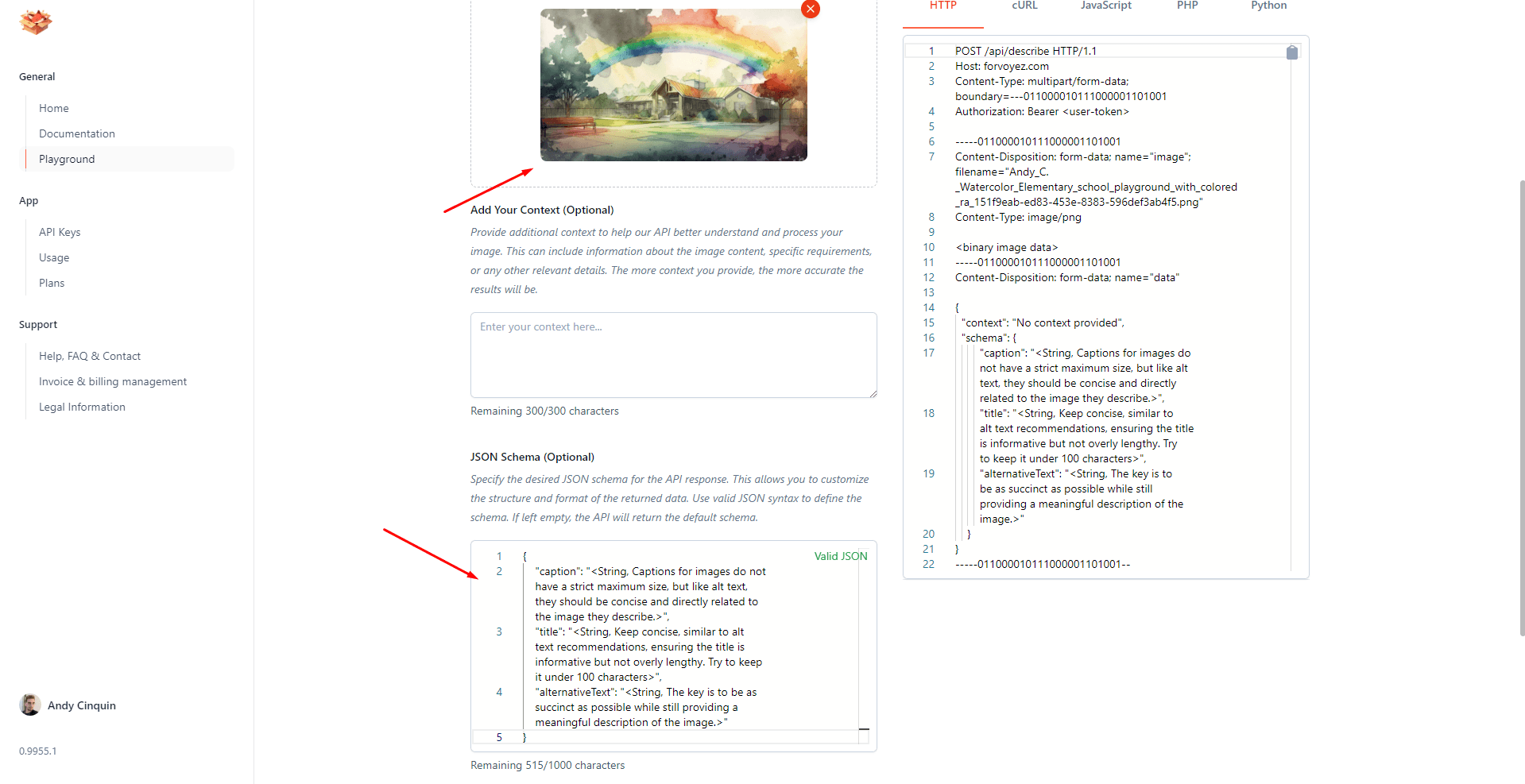 Computer screen displaying API documentation page for image analysis with JSON schema and context input box